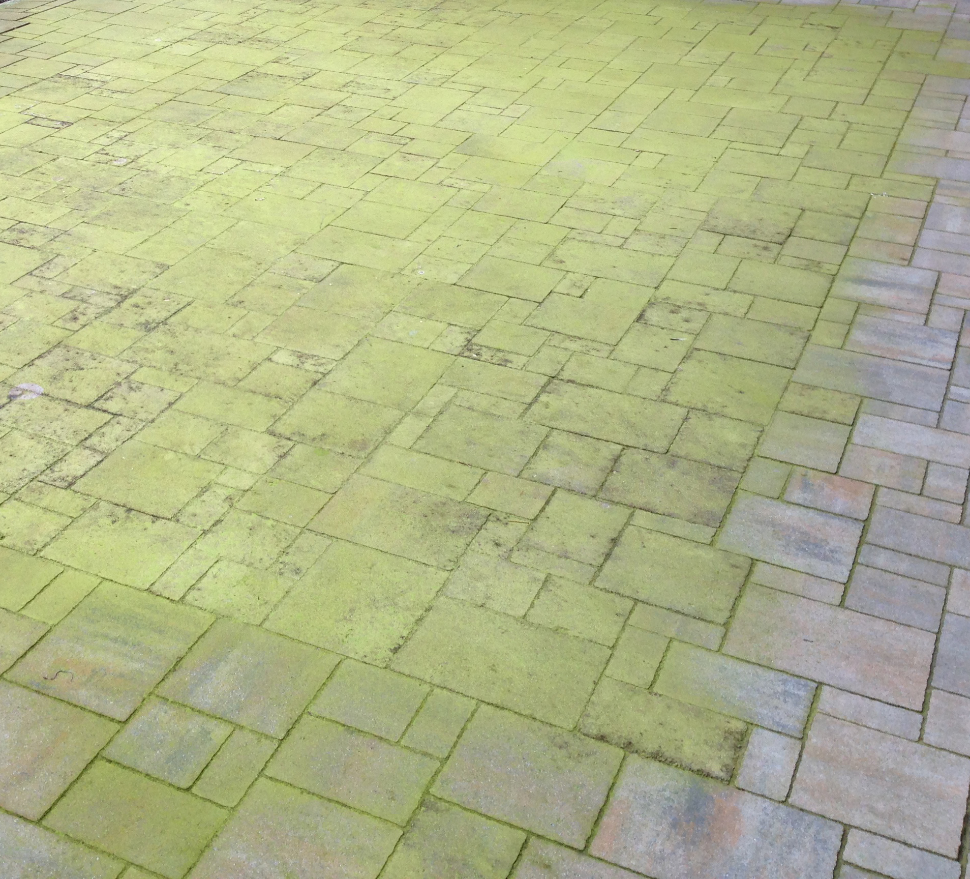 Terrassenfläche mit Moos überzogen